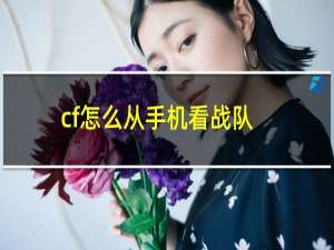 cf怎么从手机看战队