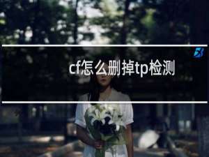 cf怎么删掉tp检测