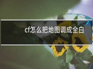 cf怎么把地图调成全白