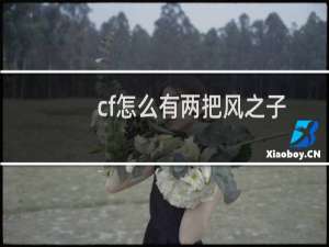 cf怎么有两把风之子