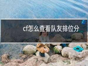 cf怎么查看队友排位分
