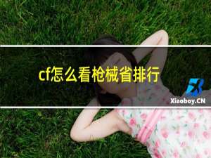 cf怎么看枪械省排行