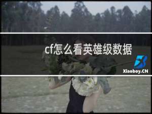 cf怎么看英雄级数据