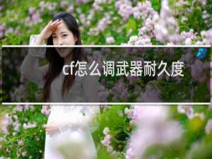 cf怎么调武器耐久度