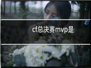 cf总决赛mvp是