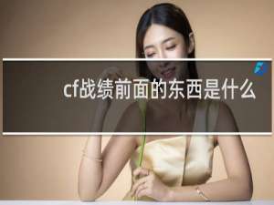 cf战绩前面的东西是什么