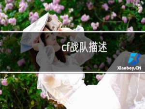 cf战队描述