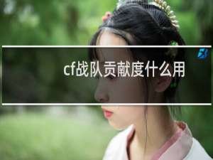 cf战队贡献度什么用