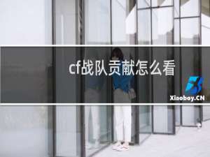 cf战队贡献怎么看