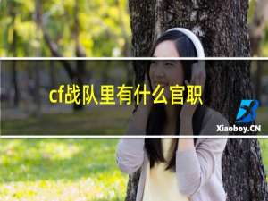 cf战队里有什么官职