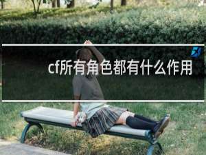 cf所有角色都有什么作用
