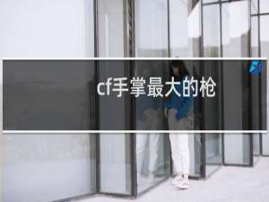 cf手掌最大的枪