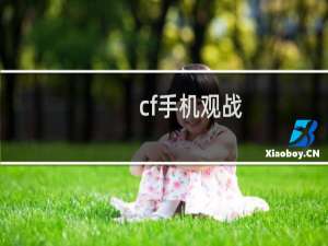 cf手机观战