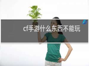 cf手游什么东西不能玩