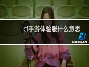 cf手游体验服什么意思