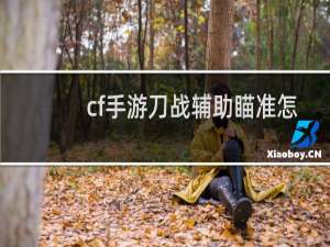 cf手游刀战辅助瞄准怎么关