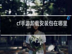 cf手游卸载安装包在哪里