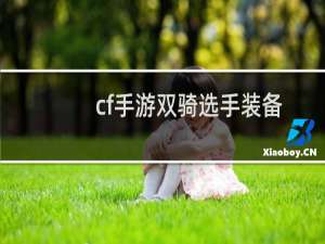 cf手游双骑选手装备