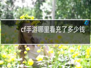 cf手游哪里看充了多少钱