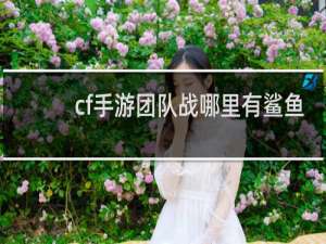 cf手游团队战哪里有鲨鱼