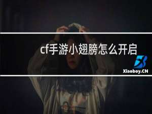 cf手游小翅膀怎么开启