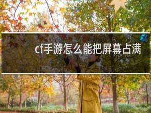 cf手游怎么能把屏幕占满