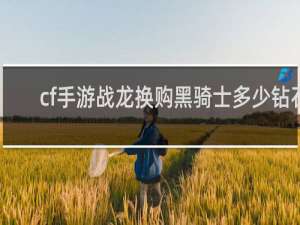 cf手游战龙换购黑骑士多少钻石
