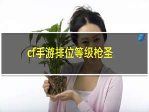 cf手游排位等级枪圣