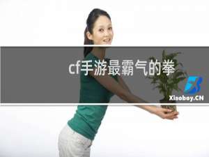 cf手游最霸气的拳