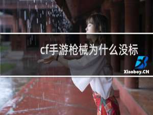 cf手游枪械为什么没标