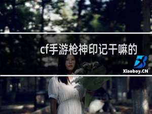 cf手游枪神印记干嘛的