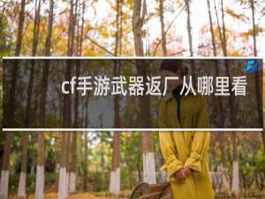 cf手游武器返厂从哪里看