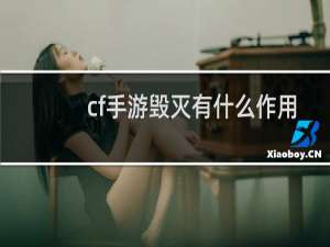 cf手游毁灭有什么作用