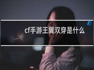 cf手游王翼双穿是什么