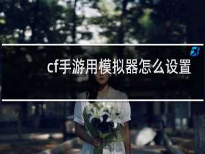 cf手游用模拟器怎么设置