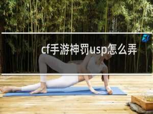 cf手游神罚usp怎么弄