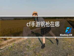 cf手游钢枪在哪