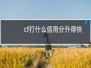 cf打什么信用分升得快