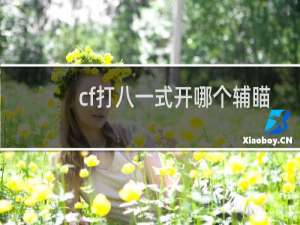 cf打八一式开哪个辅瞄