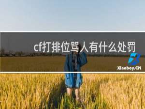 cf打排位骂人有什么处罚