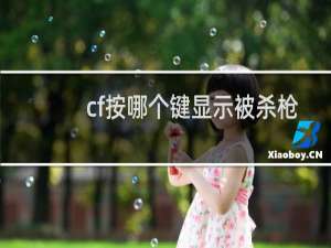cf按哪个键显示被杀枪