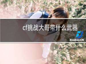 cf挑战大哥带什么武器