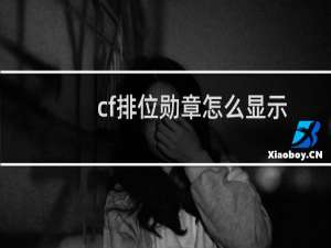 cf排位勋章怎么显示