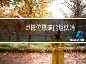 cf排位爆破能组队吗