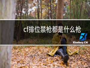 cf排位禁枪都是什么枪