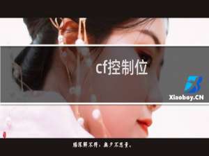 cf控制位