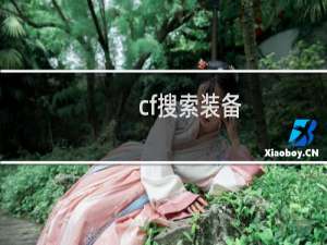 cf搜索装备