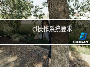 cf操作系统要求