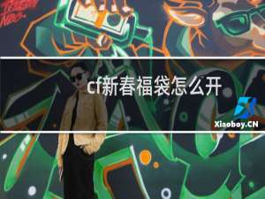 cf新春福袋怎么开