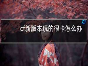 cf新版本玩的很卡怎么办